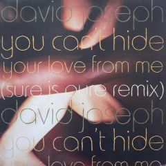 David Joesph - David Joesph - You Can Hide (Sure Is Pure Remix) - 4th & Broadway