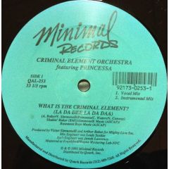 Criminal Element Orchestra Featuring Princessa - Criminal Element Orchestra Featuring Princessa - What Is The Criminal Element? - Minimal Records