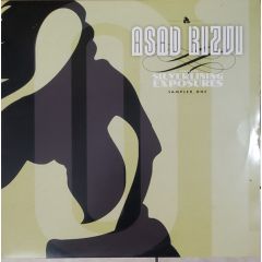 Asad Rizvi - Asad Rizvi - Silverlining Exposures Vol. 1 - Reverberations
