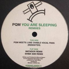 Prince Quick Mix - Prince Quick Mix - You Are Sleeping Remixes - Yoshitoshi Recordings