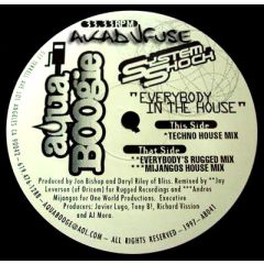 System Shock - System Shock - Everybody In The House - Aqua Boogie Records