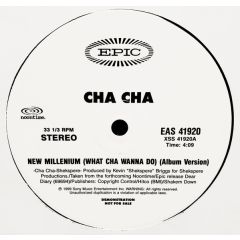 Cha Cha - Cha Cha - New Millennium (What Cha Wanna Do) - Epic