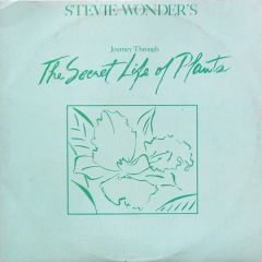Stevie Wonder - Stevie Wonder - Journey Through The Secret Life Of Plants - Motown