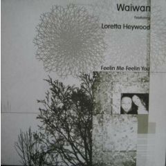 Waiwan Featuring Loretta Heywood - Waiwan Featuring Loretta Heywood - Feelin Me Feelin You - Earth Project