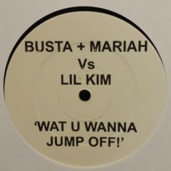 Busta Rhymes + Mariah Carey Vs Lil' Kim / Beyoncé Vs Lil' Kim / Beyoncé Vs Snoop Dogg - Busta Rhymes + Mariah Carey Vs Lil' Kim / Beyoncé Vs Lil' Kim / Beyoncé Vs Snoop Dogg - Wat U Wanna Jump Off! / Crazy - Not On Label