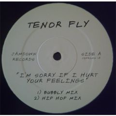 Tenor Fly - Tenor Fly - I'm Sorry If I Hurt Your Feelings - Jamdown
