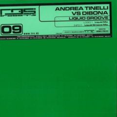 Andrea Tinelli Vs Dibona - Andrea Tinelli Vs Dibona - Liquid Groove - Robots Records