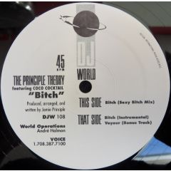 The Principle Theory Featuring Coco Cocktail - The Principle Theory Featuring Coco Cocktail - B*tch - D.J. World Records