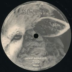 Raoul Delgardo - Raoul Delgardo - Distant Avenues EP - Sheep Records