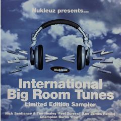 Nick Sentience & Tim Healey - Nick Sentience & Tim Healey - Feel Surreal (Int. Big Rooms Sampler) - Nukleuz