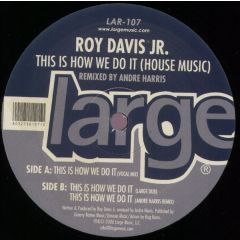 Roy Davis Jr - Roy Davis Jr - This Is How We Do It (House Music) - Large