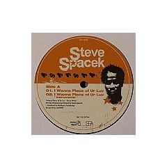 Steve Spacek - Steve Spacek - I Wanna Piece Of Ur Luv - Jazzy Sport