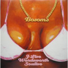 J-Live / Wordsworth / Soulive - J-Live / Wordsworth / Soulive - Bosoms - Seven Heads