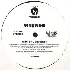 Ginuwine - Ginuwine - What's So Different - Sony