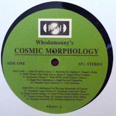 Whodamanny - Whodamanny - Cosmic Morphology - Periodica Records