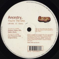 Ancestry - Ancestry - You'Re The One - Large