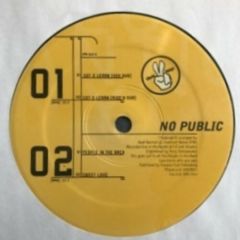No Public - No Public - Got 2 Learn - Vinyl Peace