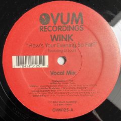 Josh Wink Ft Lil Louis - Josh Wink Ft Lil Louis - How's Your Evening So Far? - Ovum