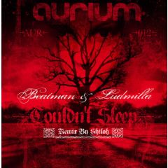 Beatman & Ludmilla - Beatman & Ludmilla - Couldn't Sleep - Aurium Recordings