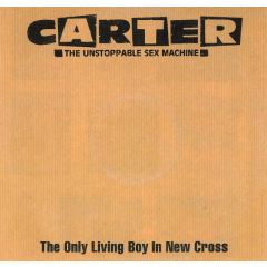 Carter (Unstoppable Sex Machine) - Carter (Unstoppable Sex Machine) - The Only Living Boy In New York - Chrysalis