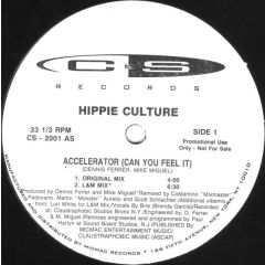 Hippie Culture - Hippie Culture - Accelerator (Can You Feel It) - C & S Records