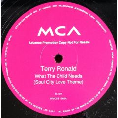 Terry Ronald - Terry Ronald - What The Child Needs (Soul City Love Theme) - MCA