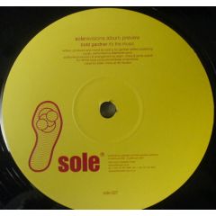 Todd Gardner / Michael Ralph - Todd Gardner / Michael Ralph - It's The Music / Good Vibes - Sole