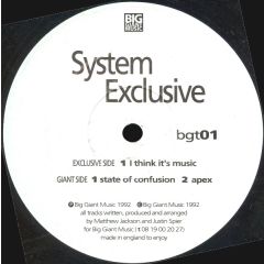 System Exclusive - System Exclusive - I Think It's Music - Big Giant Music