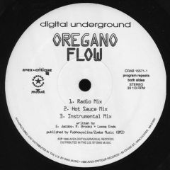Digital Underground - Digital Underground - Oregano Flow - Critique