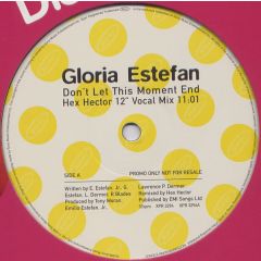 Gloria Estefan - Gloria Estefan - Don't Let This Moment End - Epic