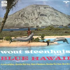 Wout Steenhuis - Wout Steenhuis - Blue Hawaii - Starline