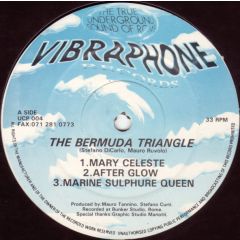 The Bermuda Triangle - The Bermuda Triangle - The Bermuda Triangle - Vibraphone Records