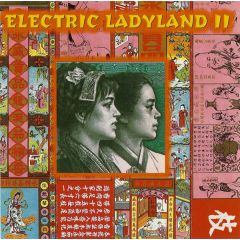 Various Artists - Various Artists - Electric Ladyland 2 - Mille Plateaux
