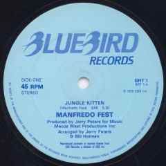 Manfredo Fest - Manfredo Fest - Jungle Kitten - Bluebird