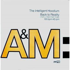 Intelligent Hoodlum - Intelligent Hoodlum - Back To Reality (The C.J. Mackintosh Mixes) - A&M PM