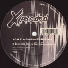 Vg & Redhead 2000 Mixes - Vg & Redhead 2000 Mixes - Somebody Scream (Remix) - Xpanded Tracks