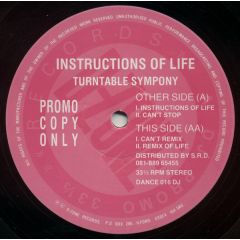 Turntable Symphony - Turntable Symphony - Instructions Of Life - D-Zone Records