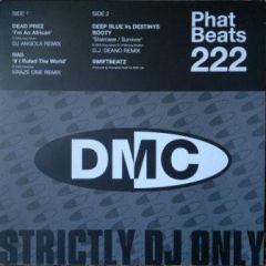 NAS - NAS - If I Ruled The World (Kraze One Remix) - DMC