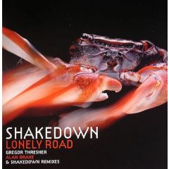 Shakedown - Shakedown - Lonely Road - Panorama