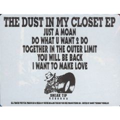 Wayne Rollins - Wayne Rollins - The Dust In My Closet EP - Sneak Tip Records