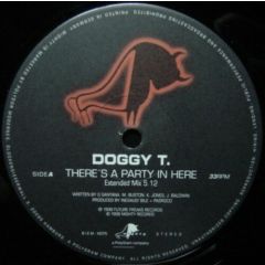 Doggy T - Doggy T - There's A Party In Here - Mighty