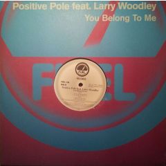 Positive Pole Ft Larry Wood - Positive Pole Ft Larry Wood - You Belong To Me - Fuel