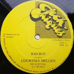 Courtney Melody / Daddy Lizard - Courtney Melody / Daddy Lizard - Bad Boy / A Fi Fly Out - Techniques