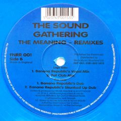 Sound Gathering - Sound Gathering - The Meaning (Remixes) (Blue Vinyl) - Fat 'N' Round