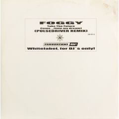 Foggy - Foggy - Take The Future Come (Into My Dream) - Sunnyside Up