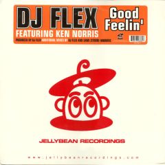 DJ Flex  - DJ Flex  - Good Feelin' - Jellybean