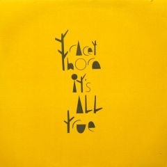 Tracey Thorn - Tracey Thorn - It's All True (Disc 2) - Virgin