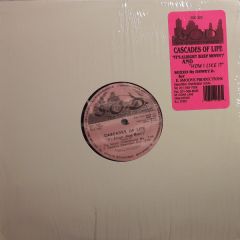 Cascades Of Life - Cascades Of Life - It's Alright - Sound Of Detroit