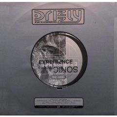 Sonic Experience - Sonic Experience - Love Is The Power - Drizzly