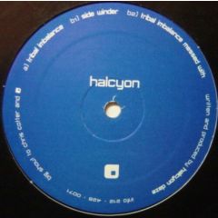 Halcyon Daze - Halcyon Daze - Tribal Imbalance - Halcyon Project